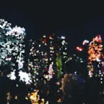 tv5 Best Cities with the Best Nightlife for Party Seekers