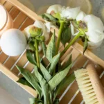 image 02 Image Alignment