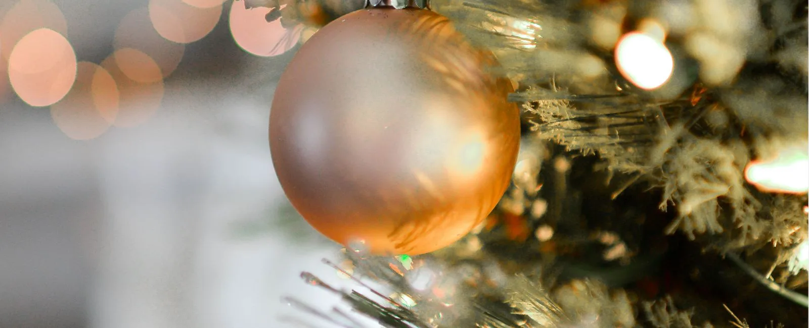 image 08 Images, Cover, MediaText & Galleries (with Lightbox)