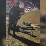 criminosos-sao-presos-antes-de-distribuir-10-kg-de-maconha-em-goiania-e-aparecida