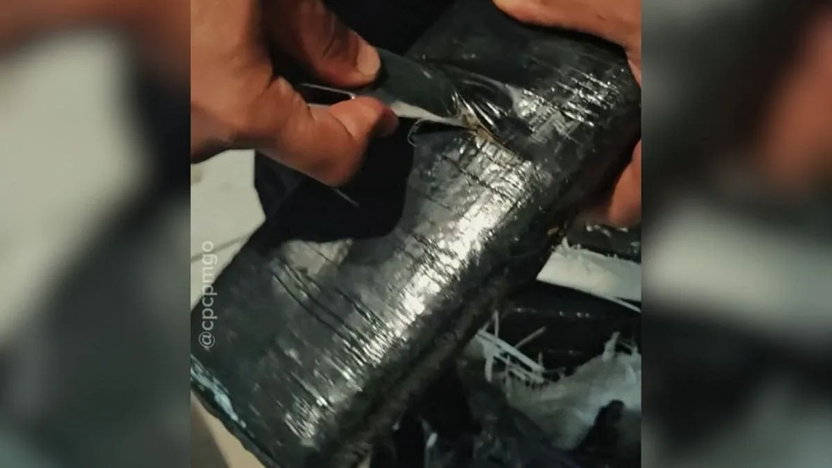 rotam-apreende-r$-1,4-milhao-em-maconha-no-setor-vale-dos-sonhos,-em-goiania