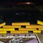 homem-e-preso-em-goias-com-11-kg-de-maconha-que-levaria-para-brasilia