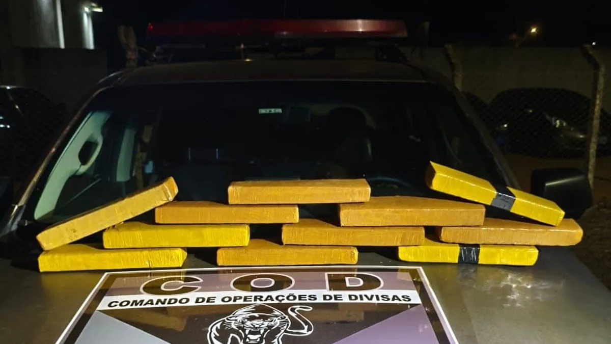 homem-e-preso-em-goias-com-11-kg-de-maconha-que-levaria-para-brasilia