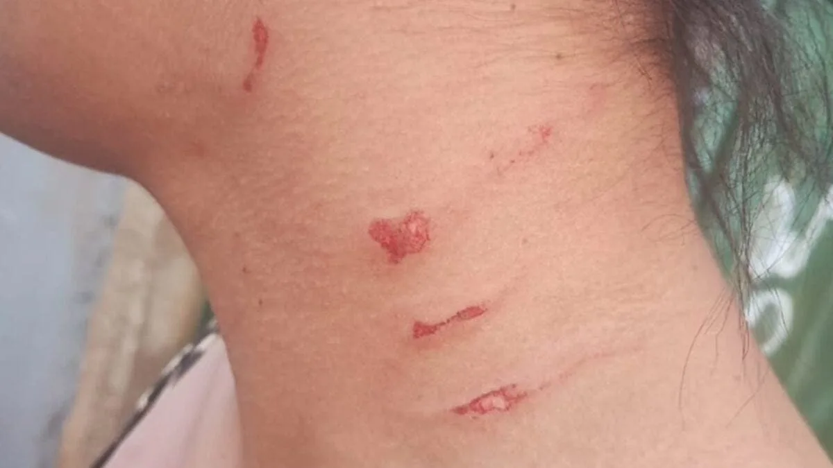 pm-intervem-em-briga-de-mulheres-que-teve-ameaca-a-recem-nascido,-em-santo-antonio-da-barra