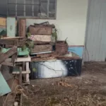 Ataque de abelhas deixa idoso ferido e ruas interditadas em Catalão 2 ataque-de-abelhas-deixa-idoso-ferido-e-ruas-interditadas-em-catalao