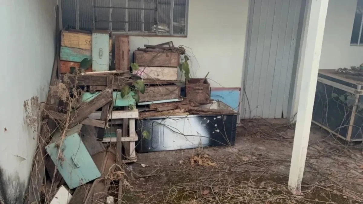 ataque-de-abelhas-deixa-idoso-ferido-e-ruas-interditadas-em-catalao