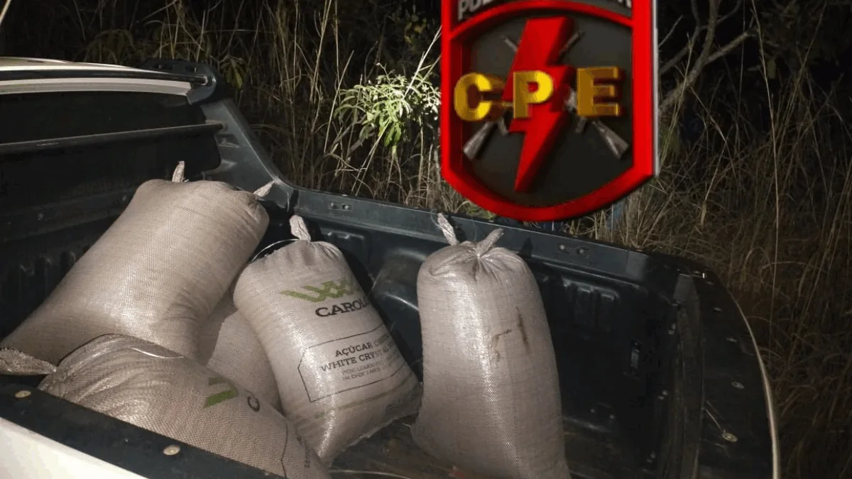 grupo-e-preso-suspeito-de-furtar-mais-de-uma-tonelada-de-cafe-em-campo-alegre-de-goias