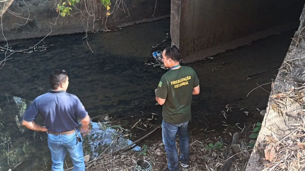 semad-investiga-morte-de-peixes-na-regiao-do-saltador,-em-palminopolis