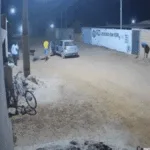 homem-atropela-amigo-de-proposito-e-o-mata-com-golpes-de-machado-em-cristalina