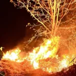 bombeiros-controlam-incendio-na-zona-rural-de-mara-rosa