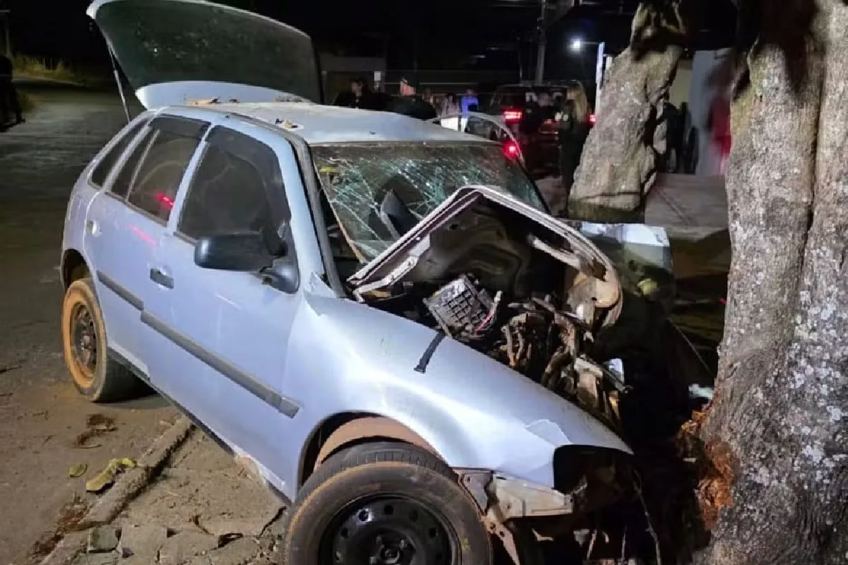 motorista-morre-apos-bater-em-arvore-enquanto-fugia-de-blitz,-em-anapolis