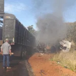 colegas-caminhoneiros-morrem-em-colisao-frontal-na-go-184,-em-apore