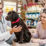 com-mudanca-na-lei,-animais-podem-deixar-de-ser-tratados-como-‘coisas’-no-brasil;-entenda