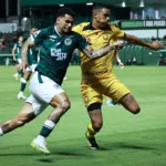 amazonas-x-goias:-confira-o-retrospecto-entre-os-times