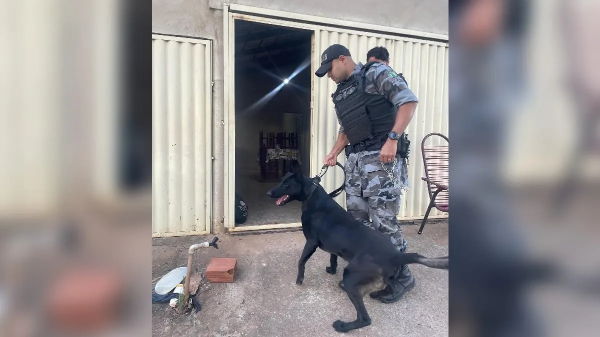 policia-prende-maior-fornecedor-de-drogas-de-petrolina-de-goias