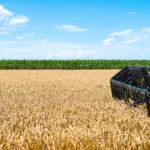 funcionarios-sao-presos-por-desvio-milionario-de-soja-em-morrinhos