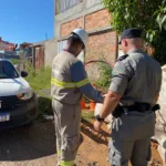 equatorial-recupera-mais-de-33-toneladas-de-cabos-de-cobre-furtados-em-goias