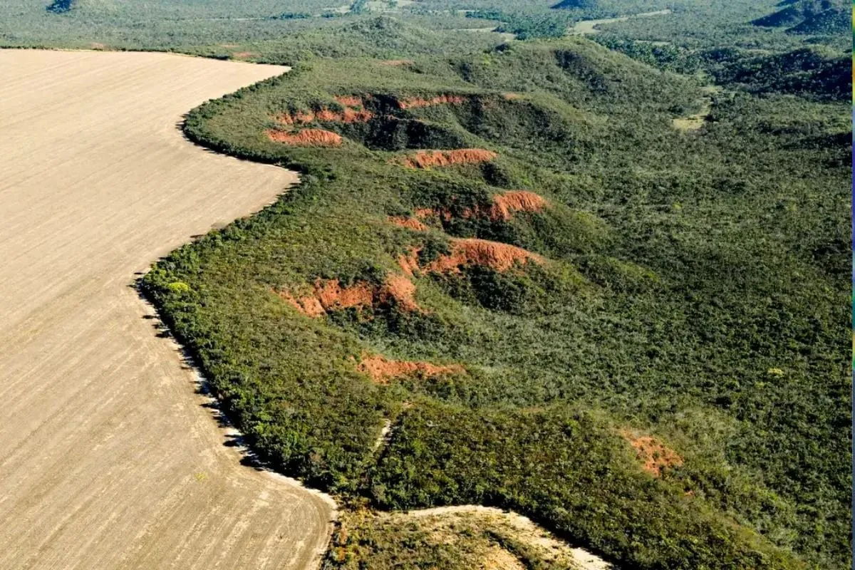 licenca-ambiental-por-autodeclaracao,-alvo-de-polemica-e-sancionada-por-lula,-ja-existe-em-goias