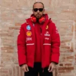 ex-ferrari-critica-hamilton-por-fala-polemica-no-gp-da-hungria