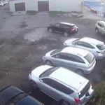 urso-invade-cidade,-mata-idosa-e-ataca-menino;-crianca-sobrevive-fingindo-se-de-morta;-video