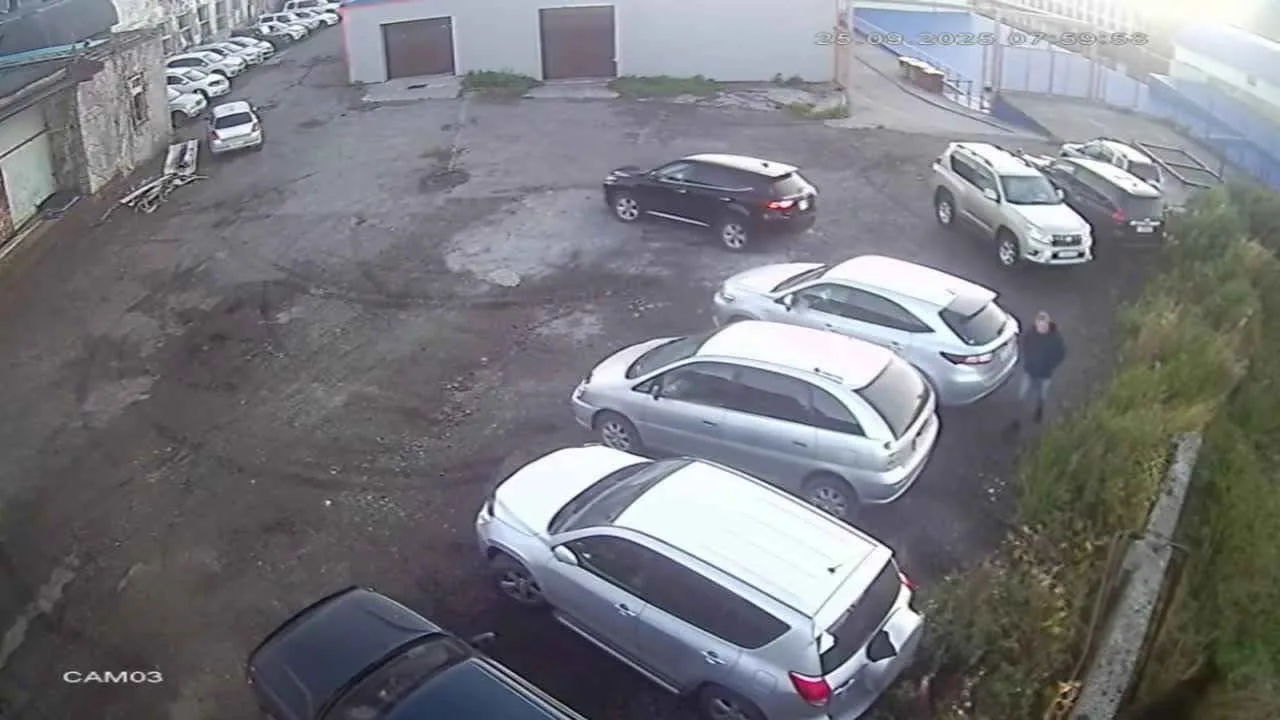 urso-invade-cidade,-mata-idosa-e-ataca-menino;-crianca-sobrevive-fingindo-se-de-morta;-video