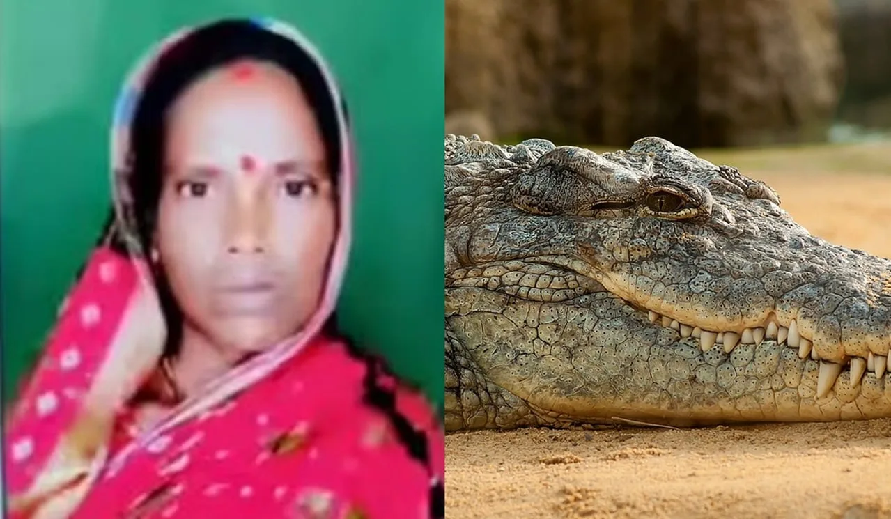 indiana-sai-para-pescar-e-e-morta-por-crocodilo;-corpo-foi-achado-pela-metade