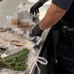 homem-e-detido-com-cranio-e-ossos-humanos-que-seriam-usados-em-ritual;-veja-fotos