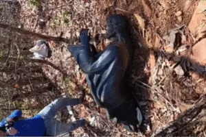 Inicio 88 policia-recupera-objetos-religiosos-furtados-em-cemiterio-de-ceres