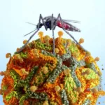 primeiro-caso-de-febre-amarela-em-minas-gerais-de-2025-acende-alerta-para-imunizacao