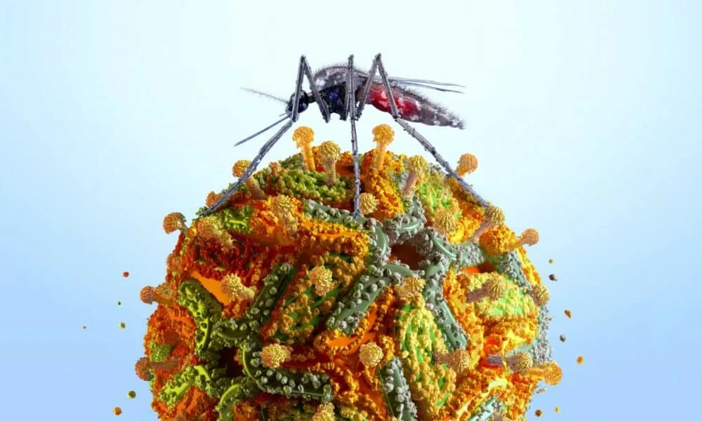 primeiro-caso-de-febre-amarela-em-minas-gerais-de-2025-acende-alerta-para-imunizacao