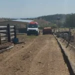 homem-morre-apos-cair-em-misturador-de-silo-em-itapuranga