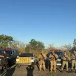 operacao-conjunta-apreende-meio-milhao-de-reais-em-maconha-na-regiao-leste-de-goias