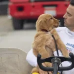 sessao-da-tarde-hoje:-confira-o-filme-que-a-tv-globo-exibe-nesta-segunda-feira,-dia-29