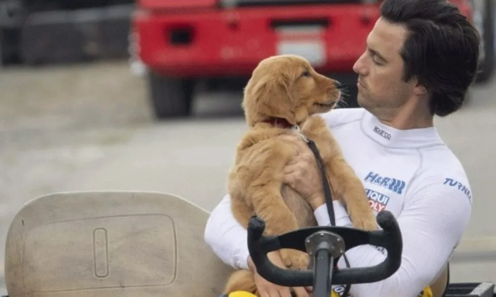 sessao-da-tarde-hoje:-confira-o-filme-que-a-tv-globo-exibe-nesta-segunda-feira,-dia-29