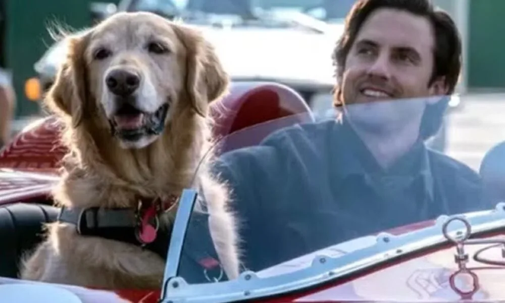 sessao-da-tarde-hoje:-globo-exibe-meu-amigo-enzo-nesta-segunda-feira-em-horario-nobre