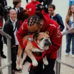morre-roscoe,-cachorro-de-lewis-hamilton