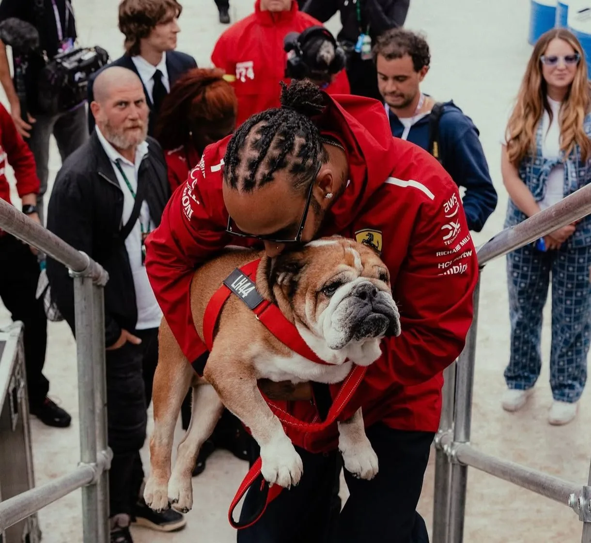 morre-roscoe,-cachorro-de-lewis-hamilton