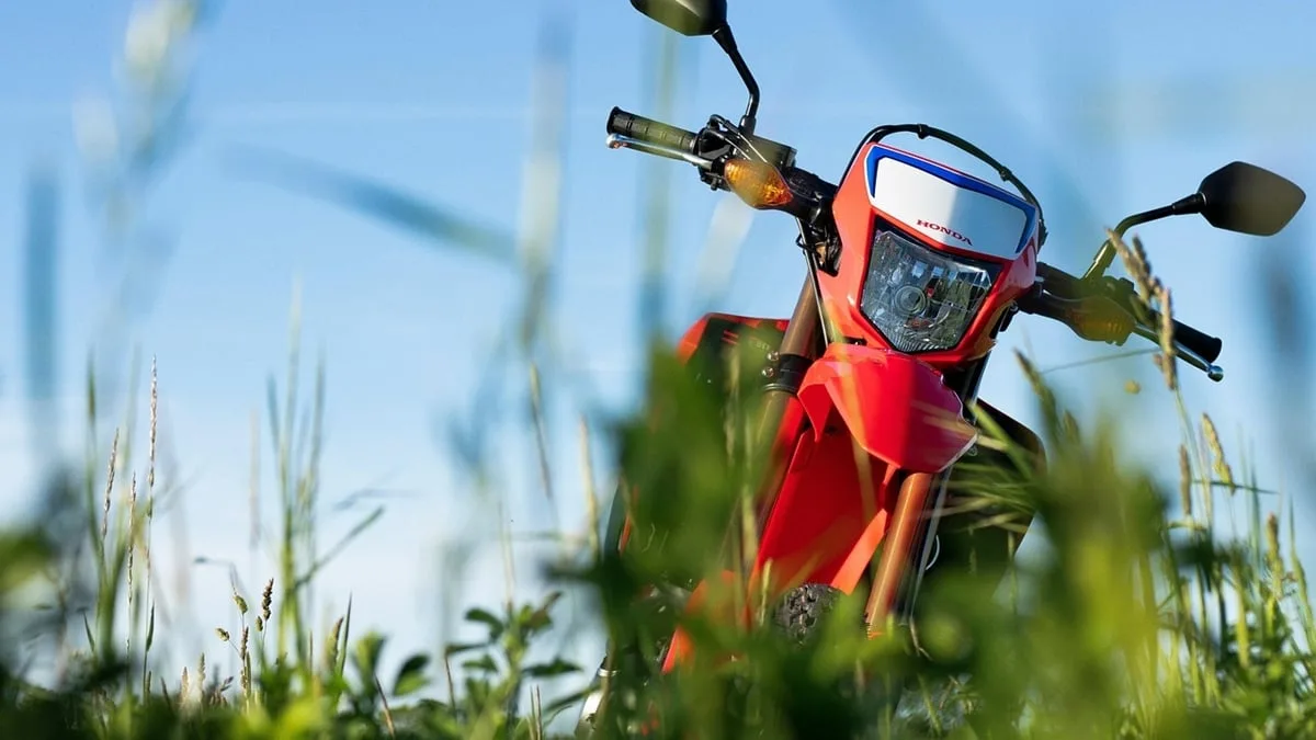 estado-de-goias-e-condenado-por-leiloar-de-forma-indevida-motocicleta-apreendida