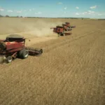 goias-fecha-setembro-com-superavit-de-us$-700,5-milhoes-na-balanca-comercial