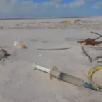 70%-das-praias-brasileiras-estao-contaminadas-por-microplasticos,-revela-pesquisa-liderada-por-goias