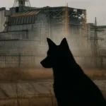 caes-que-vivem-na-regiao-de-chernobyl-estao-ficando-azuis;-veja-fotos-e-video