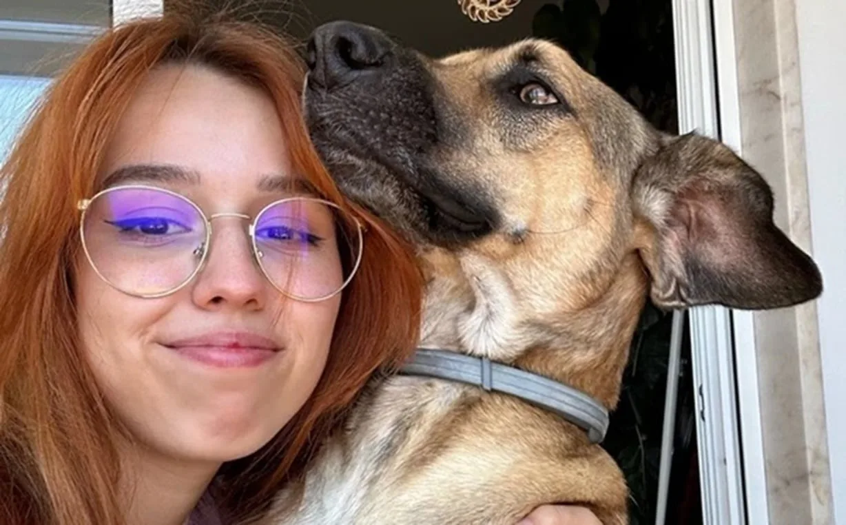 cao-de-gravida-‘aparece’-em-ultrassom-do-bebe-da-tutora-e-viraliza;-veja-imagem