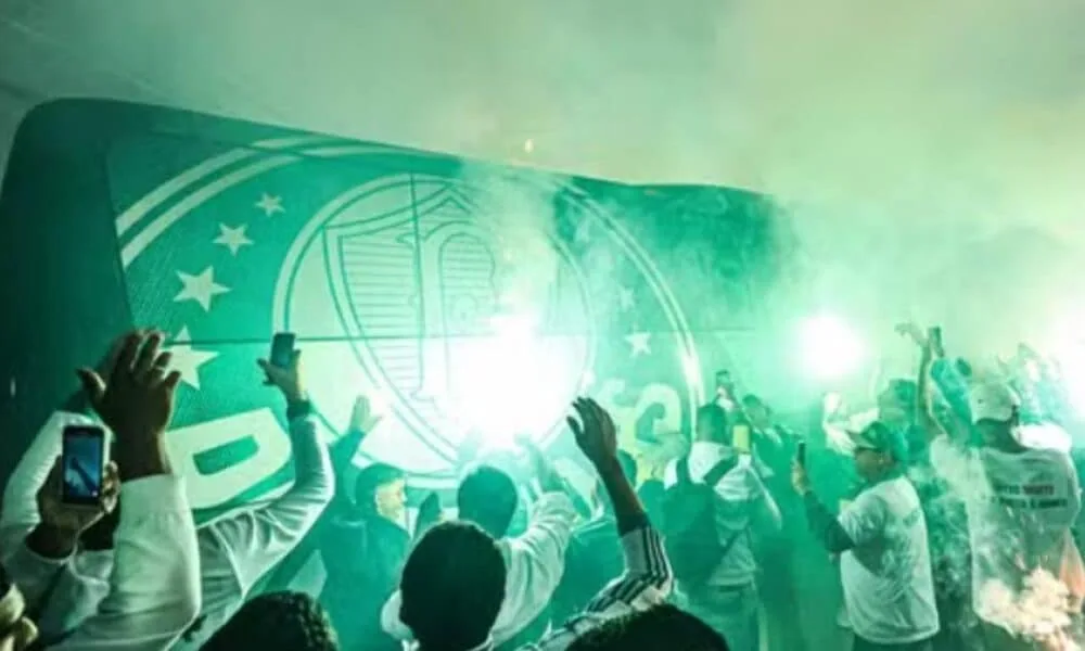 palmeiras-aquece-no-gramado-no-allianz-parque-para-virada-contra-ldu-na-semifinal-da-libertadores-as-21h30