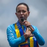 BNDES passa a financiar pesquisa para plantio comercial de árvores nativas