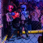 robos-humanoides-protagonizam-luta-de-boxe-diante-de-plateia-empolgada;-veja-videos