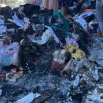 ‘duas-decadas-de-luta-e-em-um-dia-acabou-tudo’,-diz-dona-de-loja-incendiada-no-centro-de-goiania