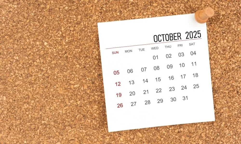 feriado-municipal-em-14-cidades-brasileiras-confirma-folga-no-sabado-4-de-outubro-por-sao-francisco-de-assis