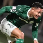 palmeiras-supera-flamengo-no-returno;-inter-e-atletico-mg-decepcionam