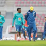 amistosos:-ancelotti-comanda-1o-treino-da-selecao-na-coreia-do-sul
