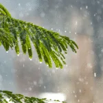 frente-fria-pode-trazer-chuva-para-goias-na-quinta-feira